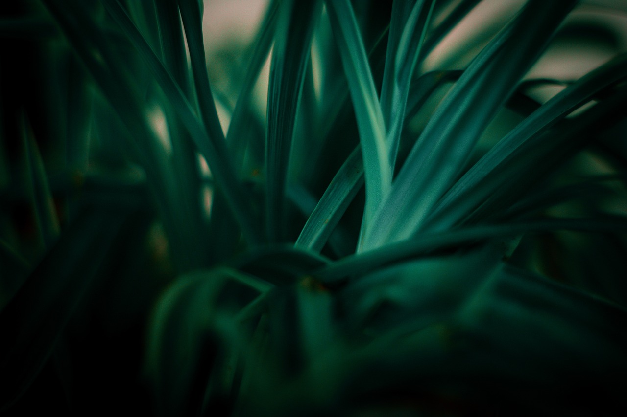 The Health Benefits of Sustainable Living